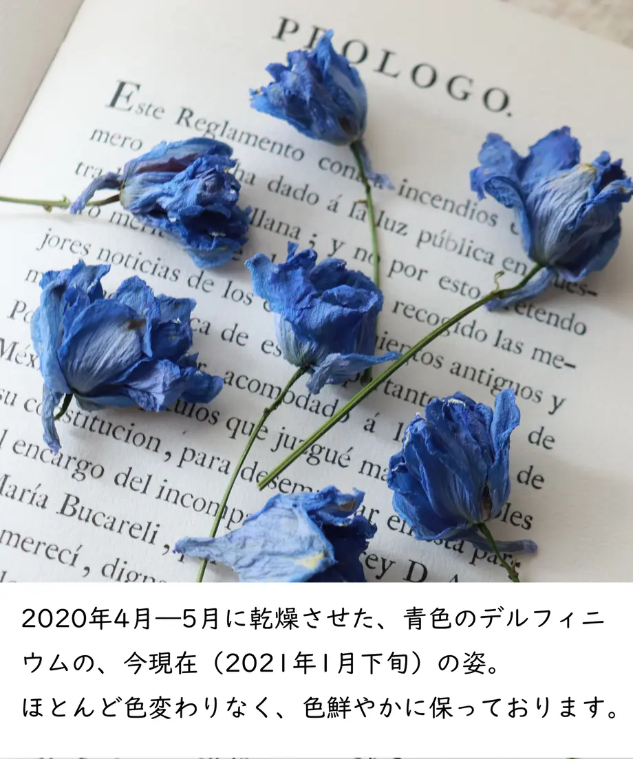 6006da2f940f3d6bbe51cbd2