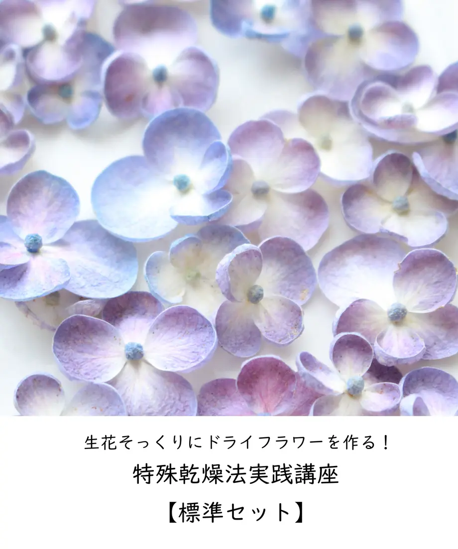 60040b3cb00aa35ef7455ed5