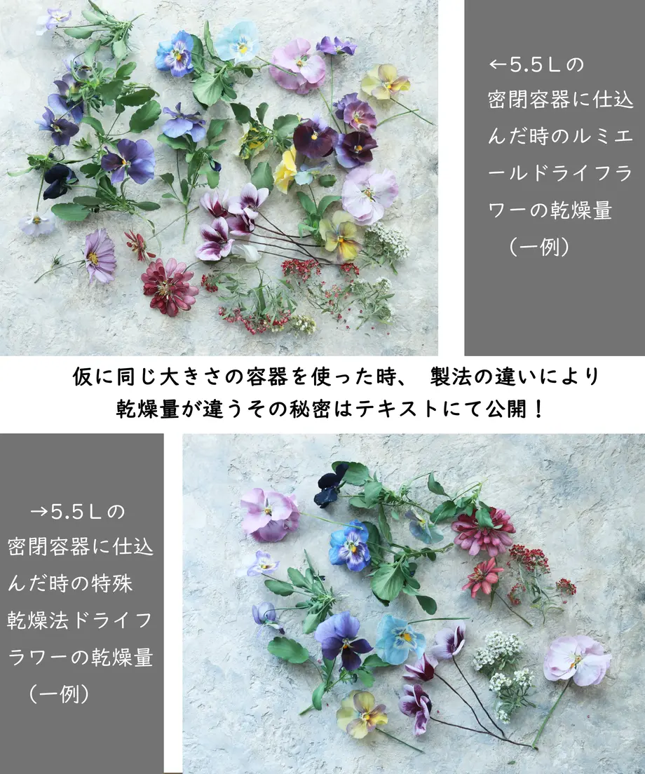 6006e4c6bbb683647820ad61