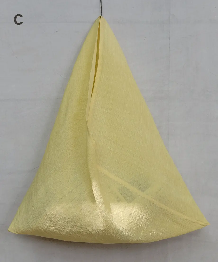 6315637aa32394640255b174