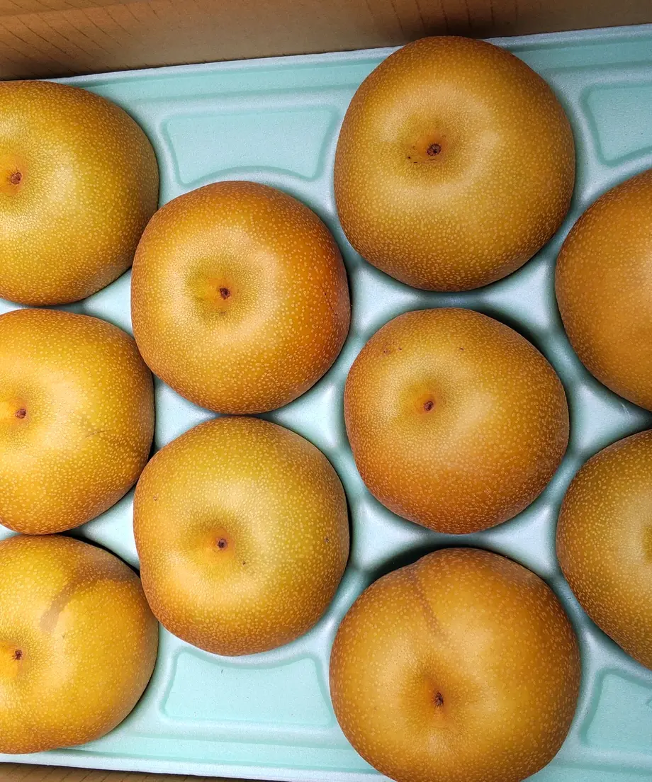 5b7ea2585496ff230d000afa