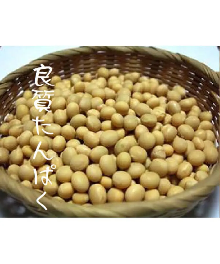 5f3f1b1fafaa9d41260dd3f4