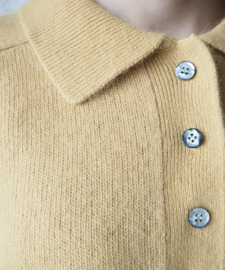 637c4af1f519732213269703
