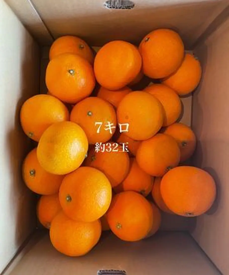 61935ff5f1f39a098f97c1e8
