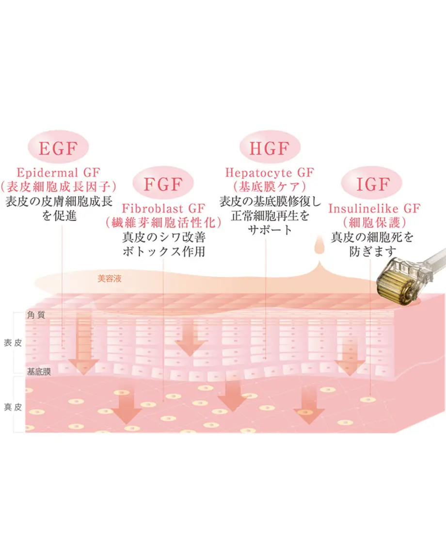 5f6c2b8e8f2ebd2d7cba3252