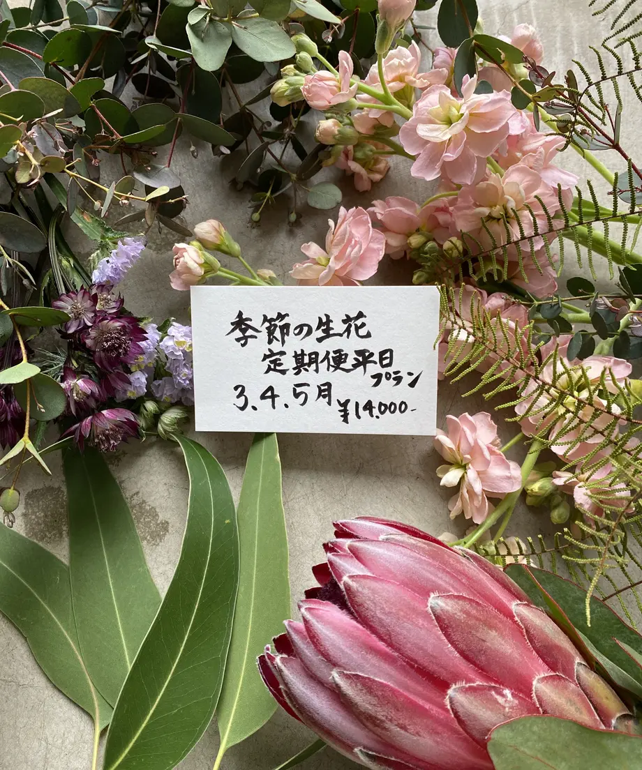 602a04b7318625502019b5e8