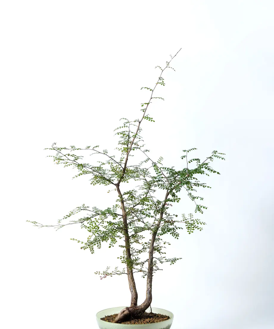 608ac495da019c58aaabea28