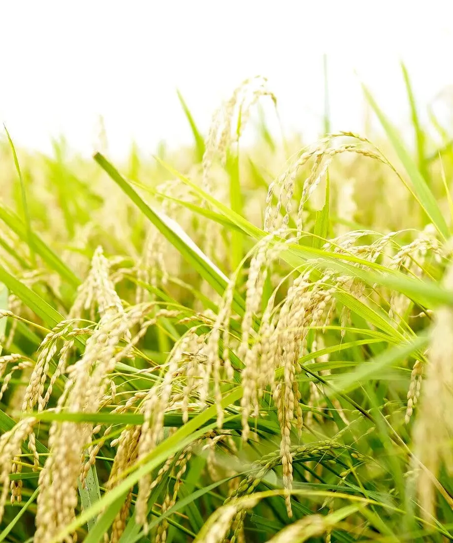 6150f616acbcb004f95b8485