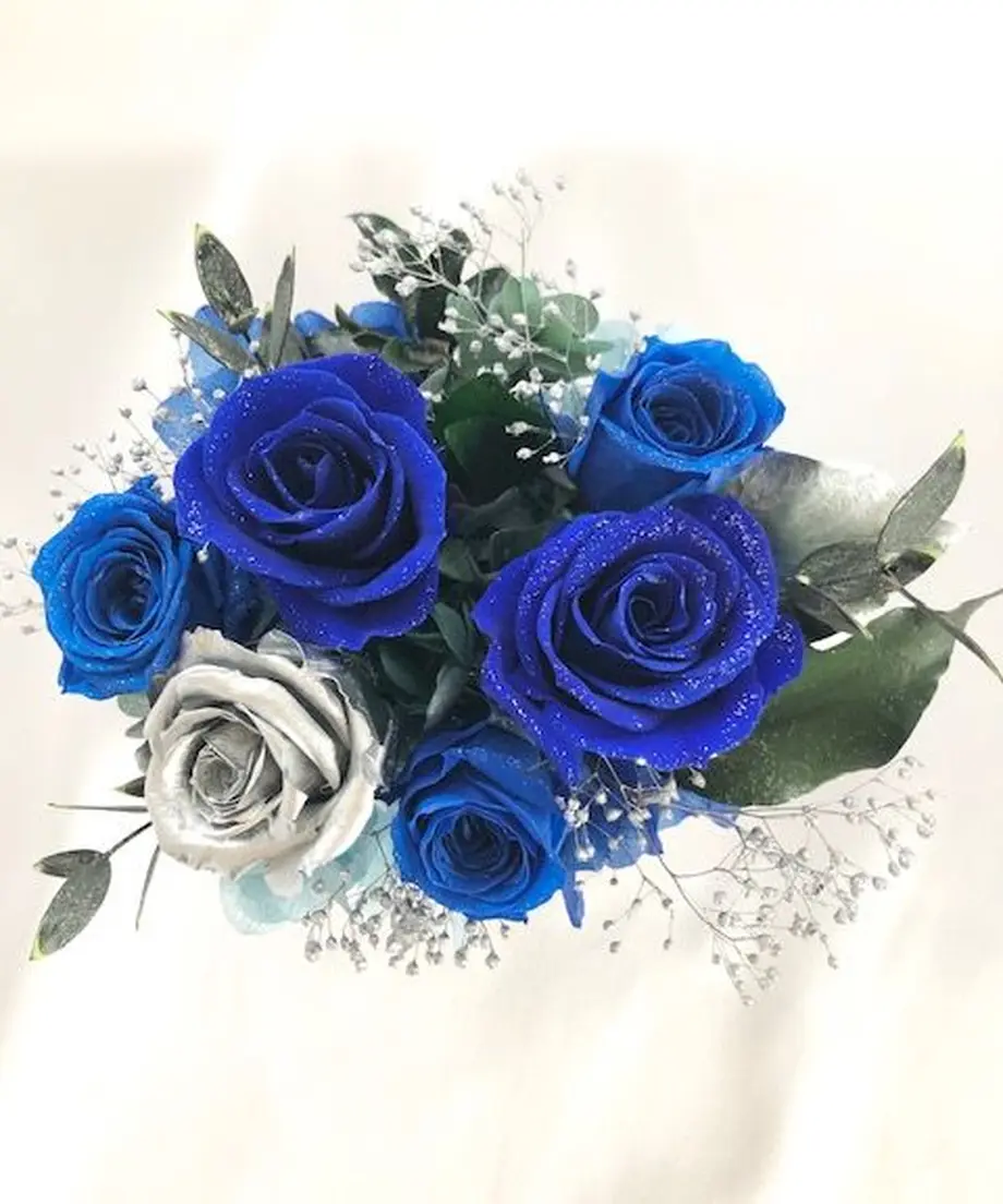 5db95b67bc45ac4d96378fb0