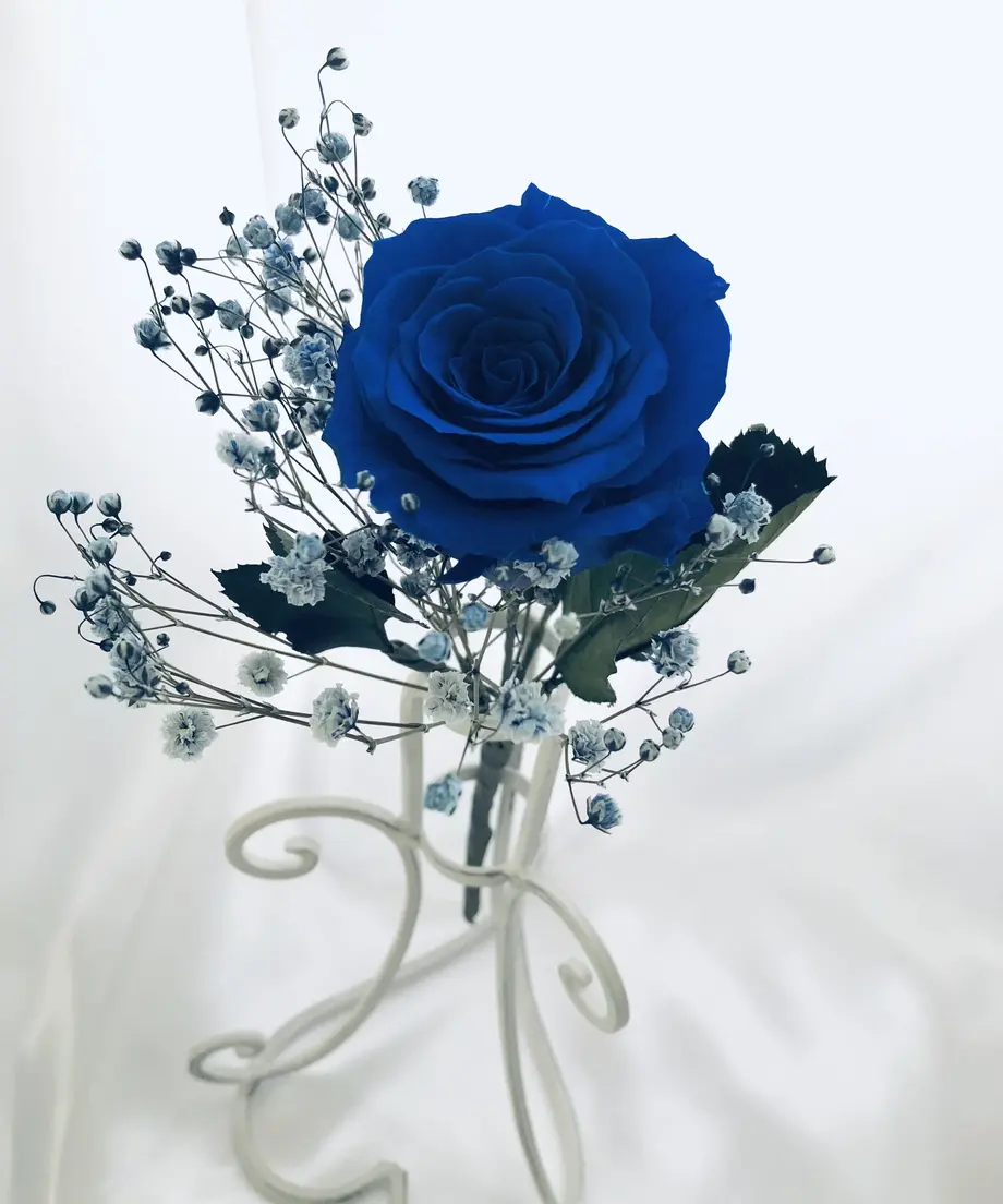6055b01bc9e02c398f0c8743
