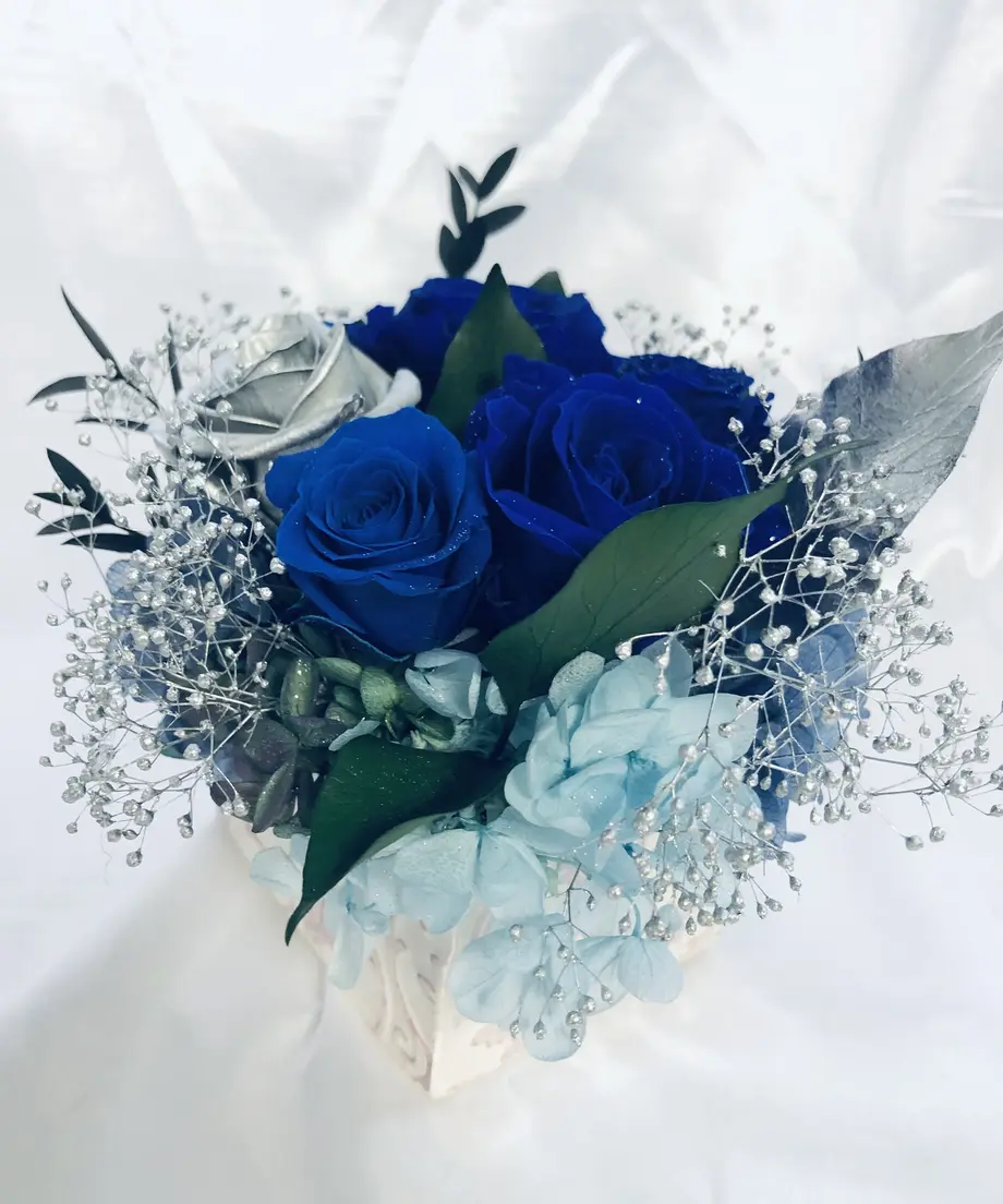 5db95b67bc45ac4d96378fb0