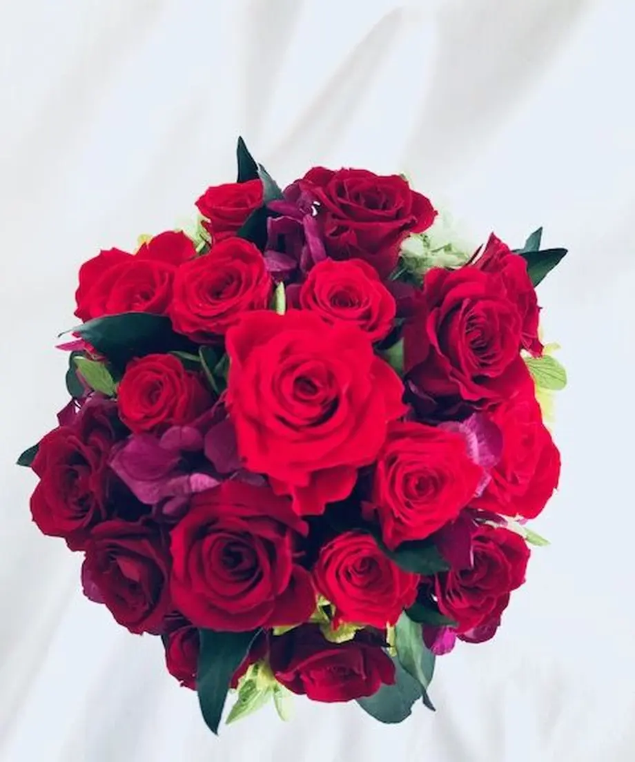 5e589e0196fa43750628db24