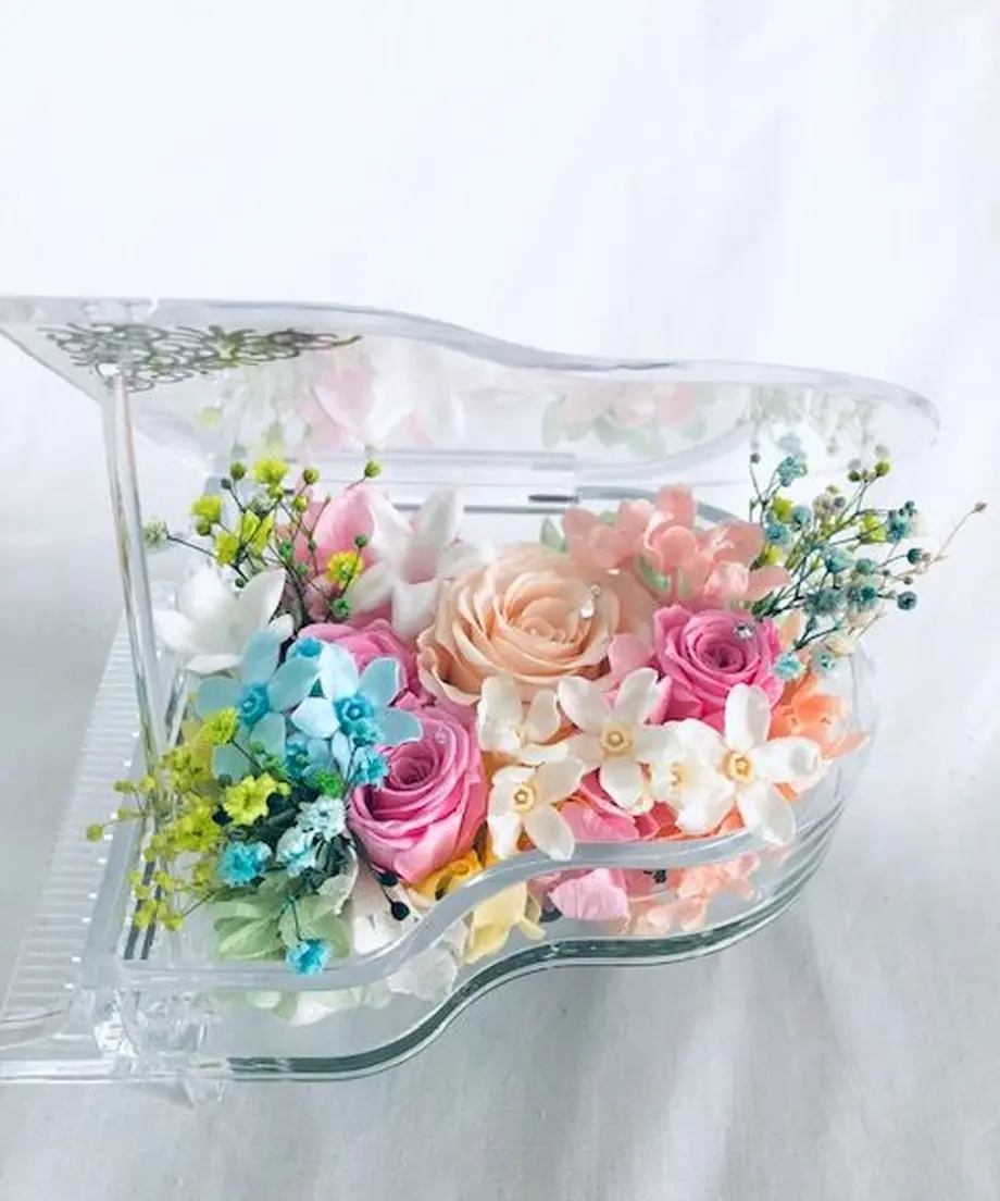 549ecddf391bb34c46001987