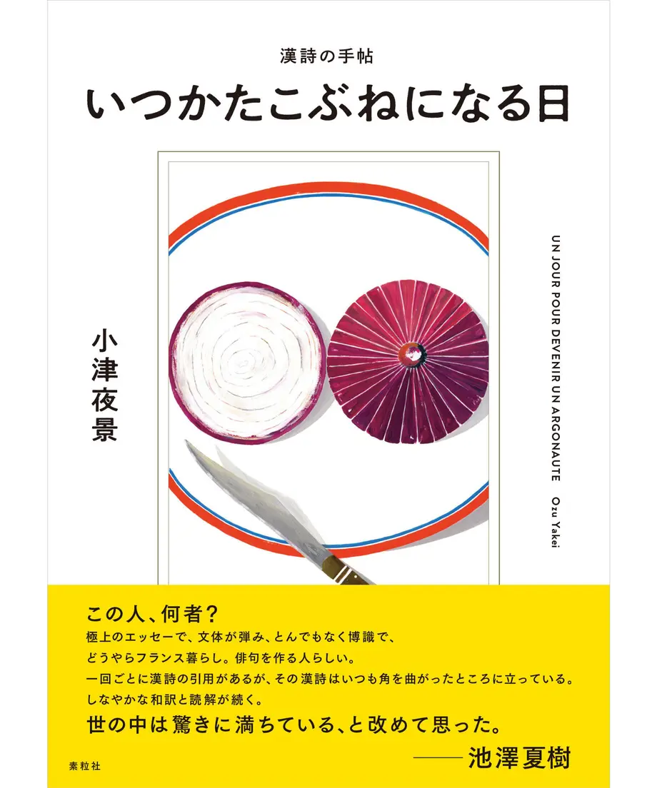5fc88f8d8a45723583d3e682