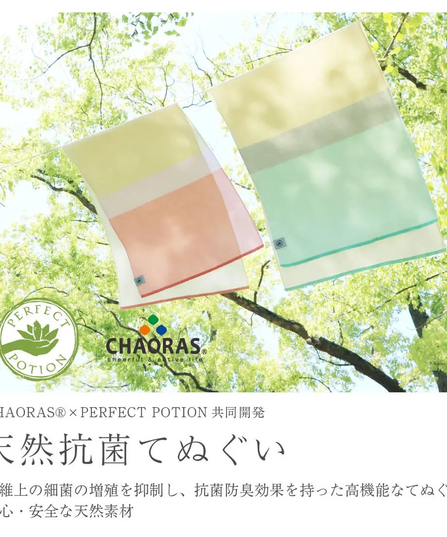5ea529ea55fa03019a6a034c