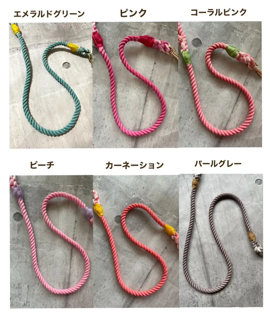 61d01ae3bc44dc3f1c28b351