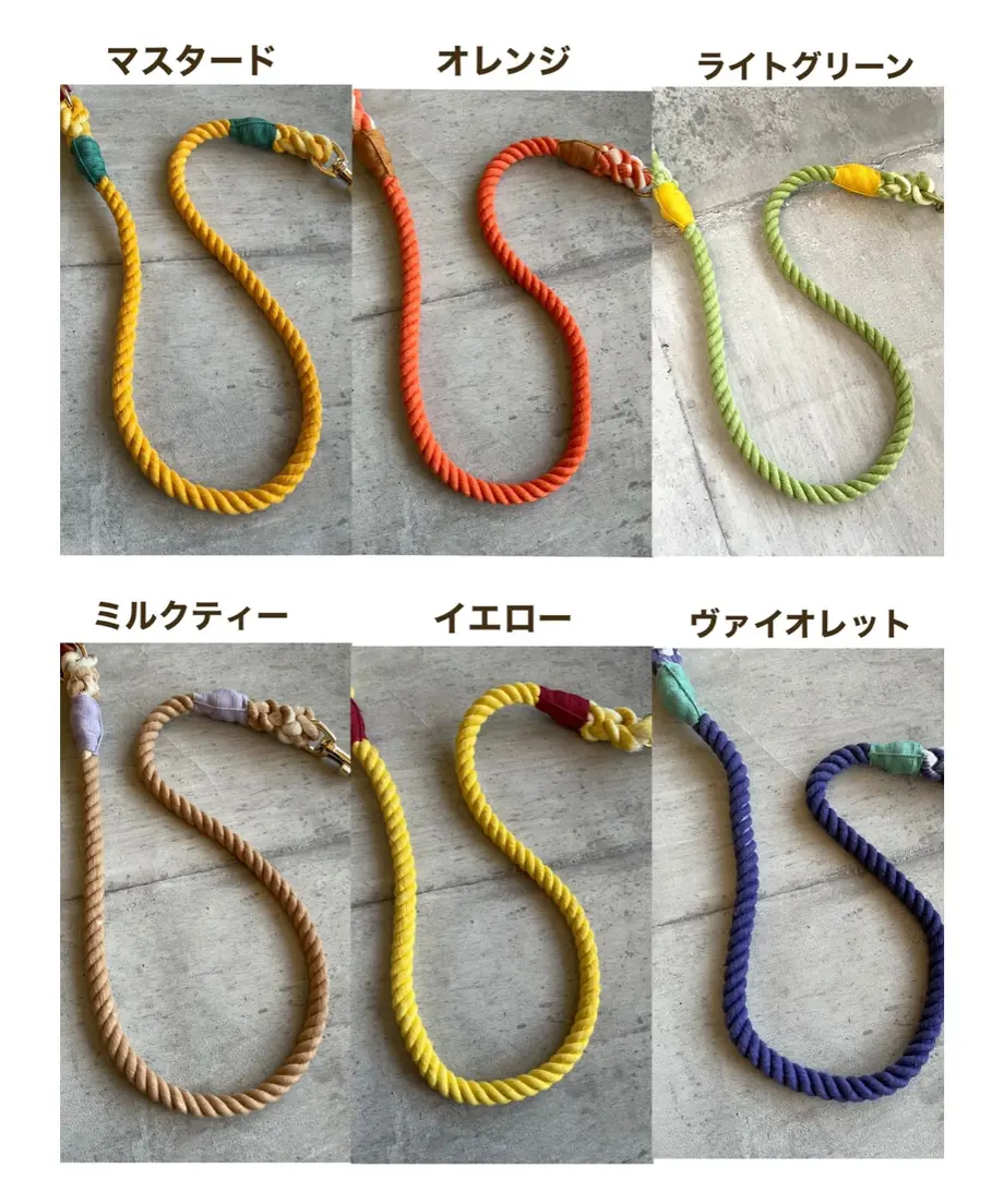 61d01ae3bc44dc3f1c28b351