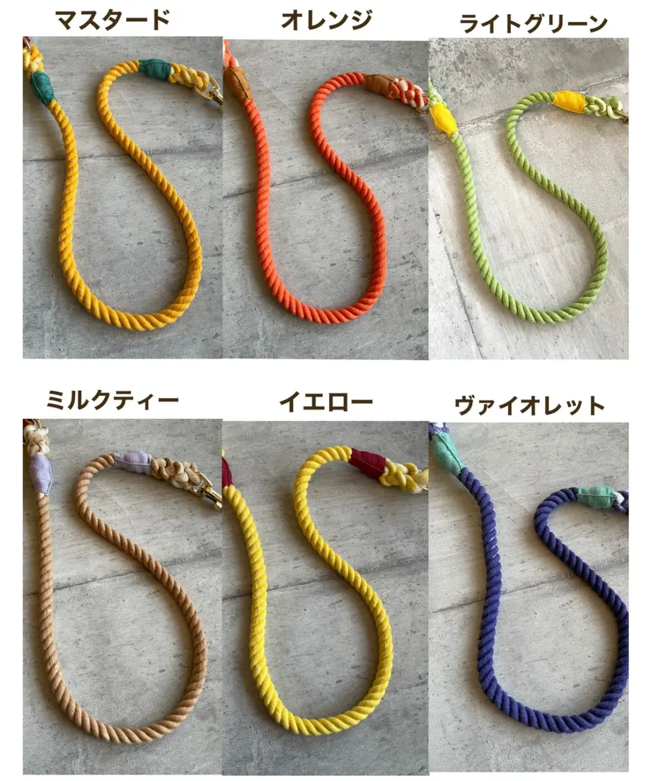 61ceb881c15c5a5039536921
