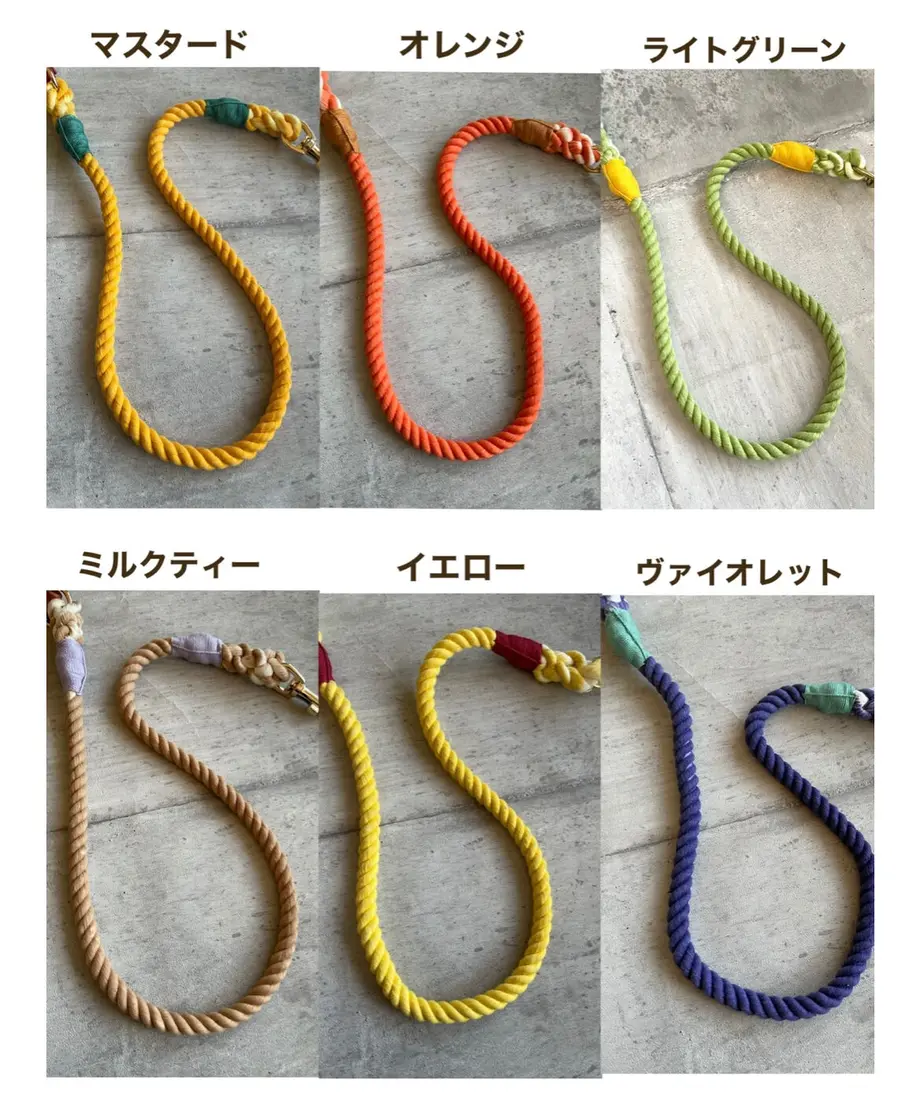 61ceb46381dbb52495042016