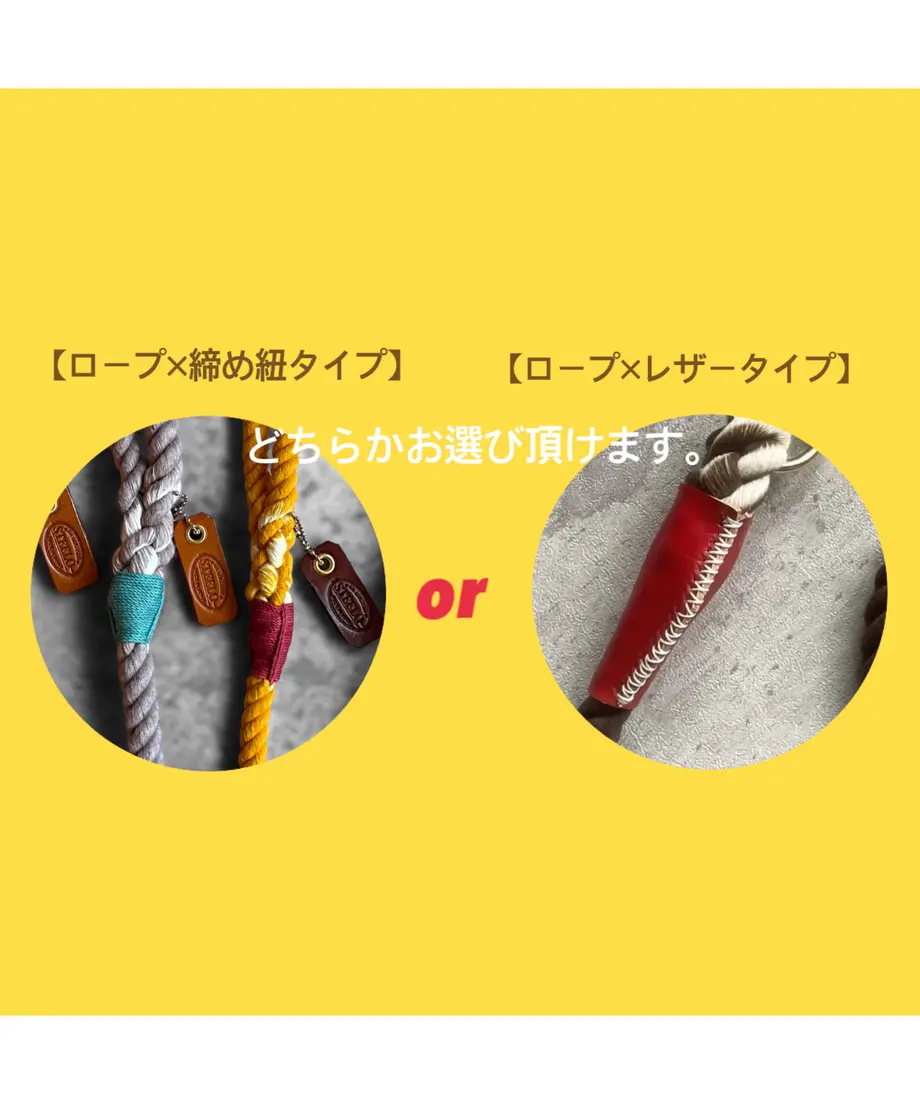61c6abe72ee5c25b38f3741f