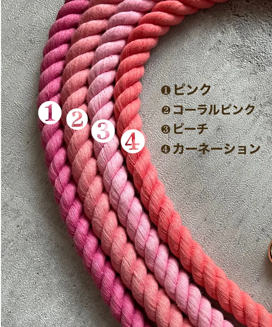 61c69eb5d5ffeb44a3979a74