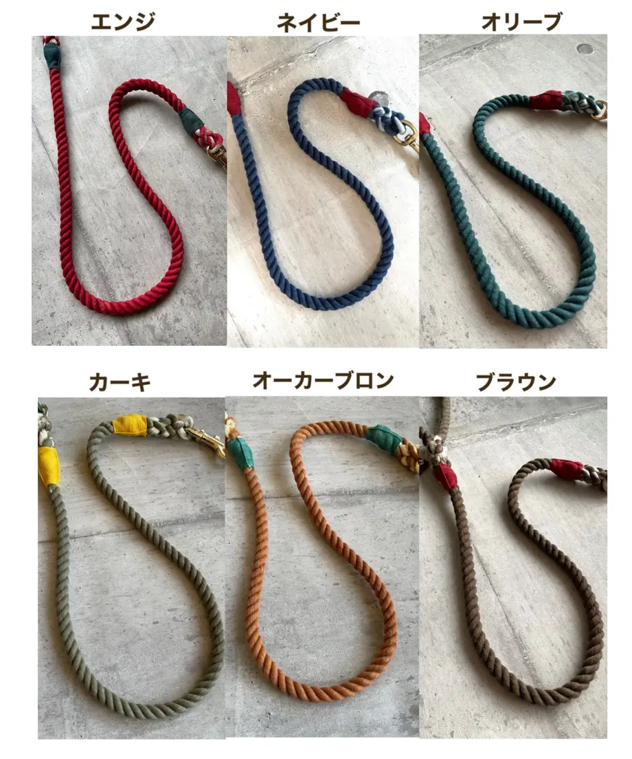 61ceb46381dbb52495042016