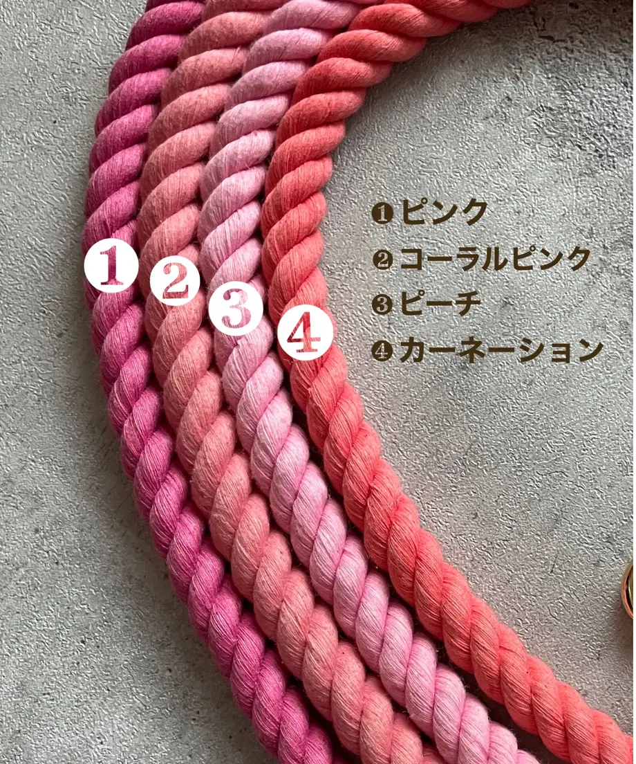 61c6add9f6d7c9464452fe77