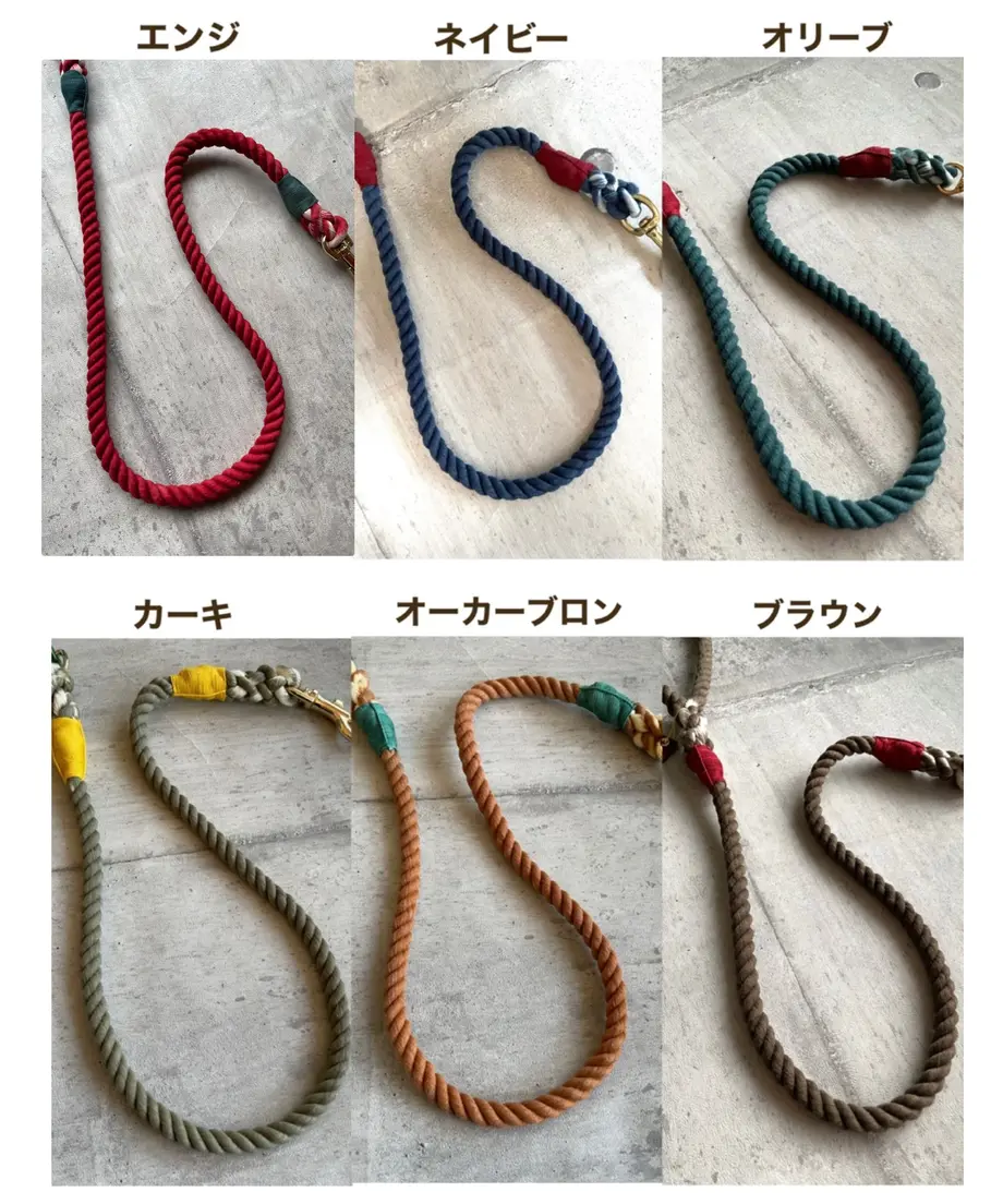 61d01ae3bc44dc3f1c28b351