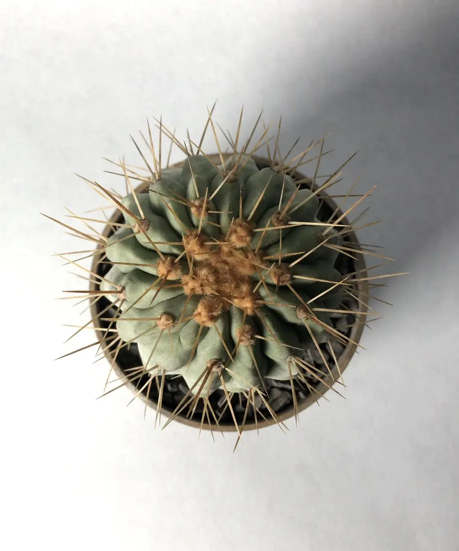 5ffc98d7f0b1082aae0fb02e