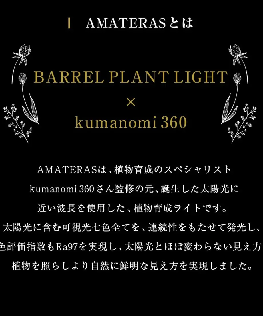 625a14bbb34a565b49dfbfb5
