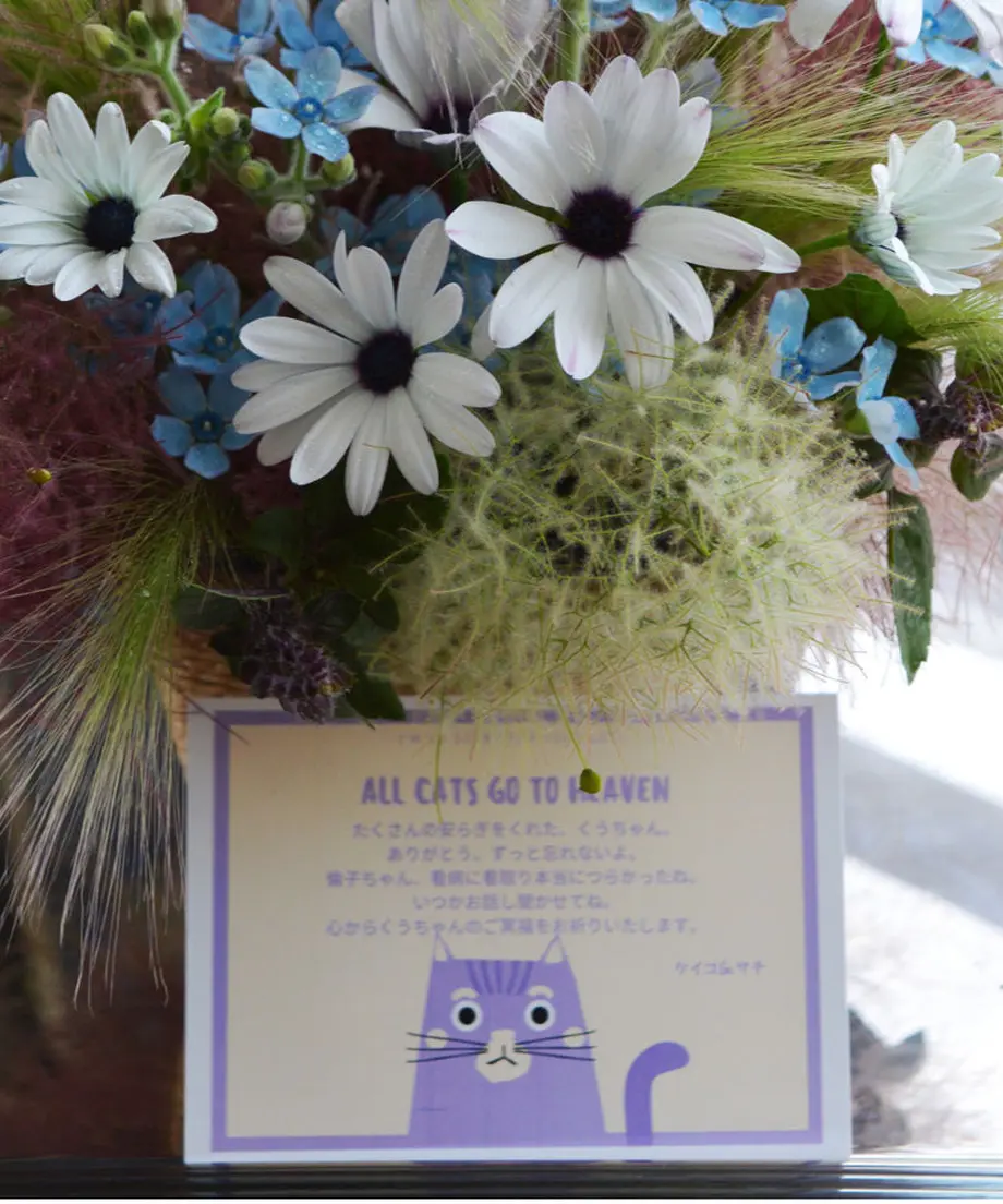 5ee822eb561e17718e50ab09