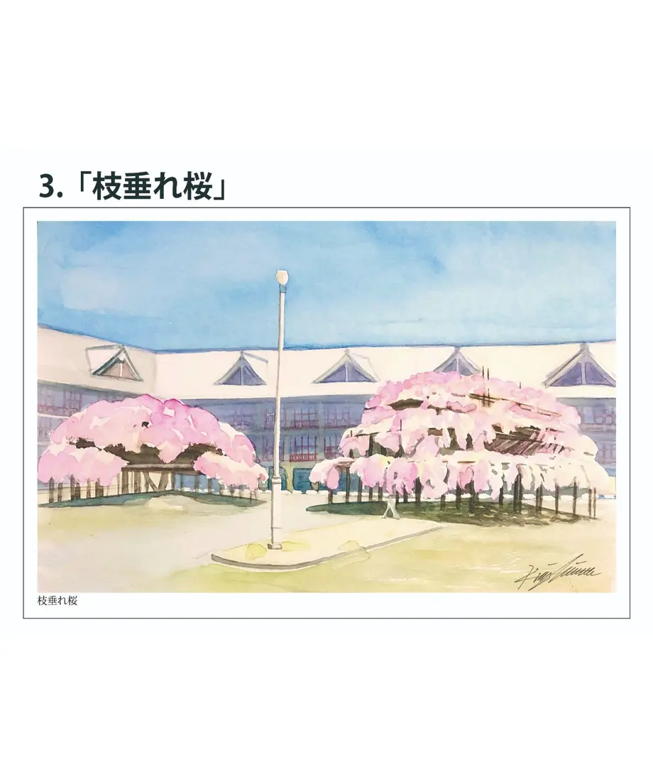 5f2cf1cc7df2815158c02317
