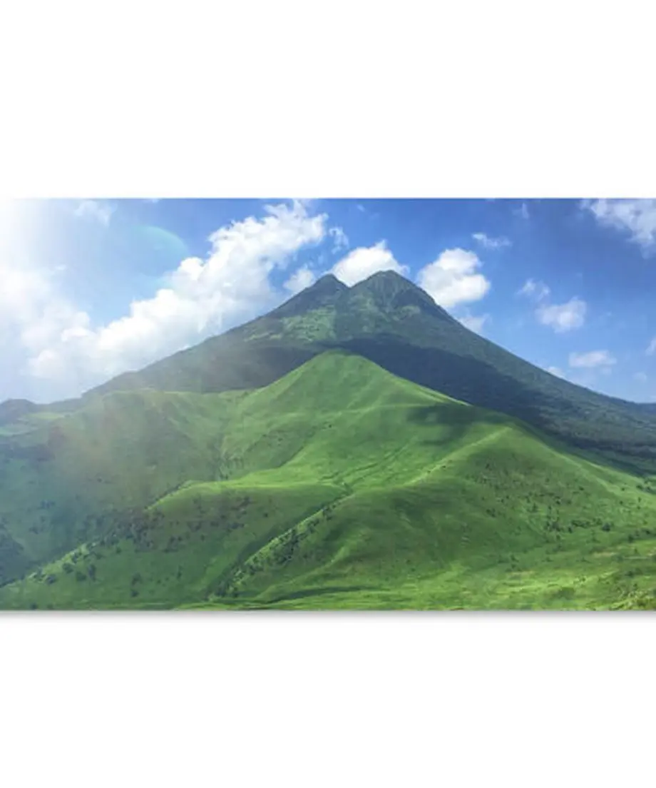 5ff66d0ada019c212ee428d6