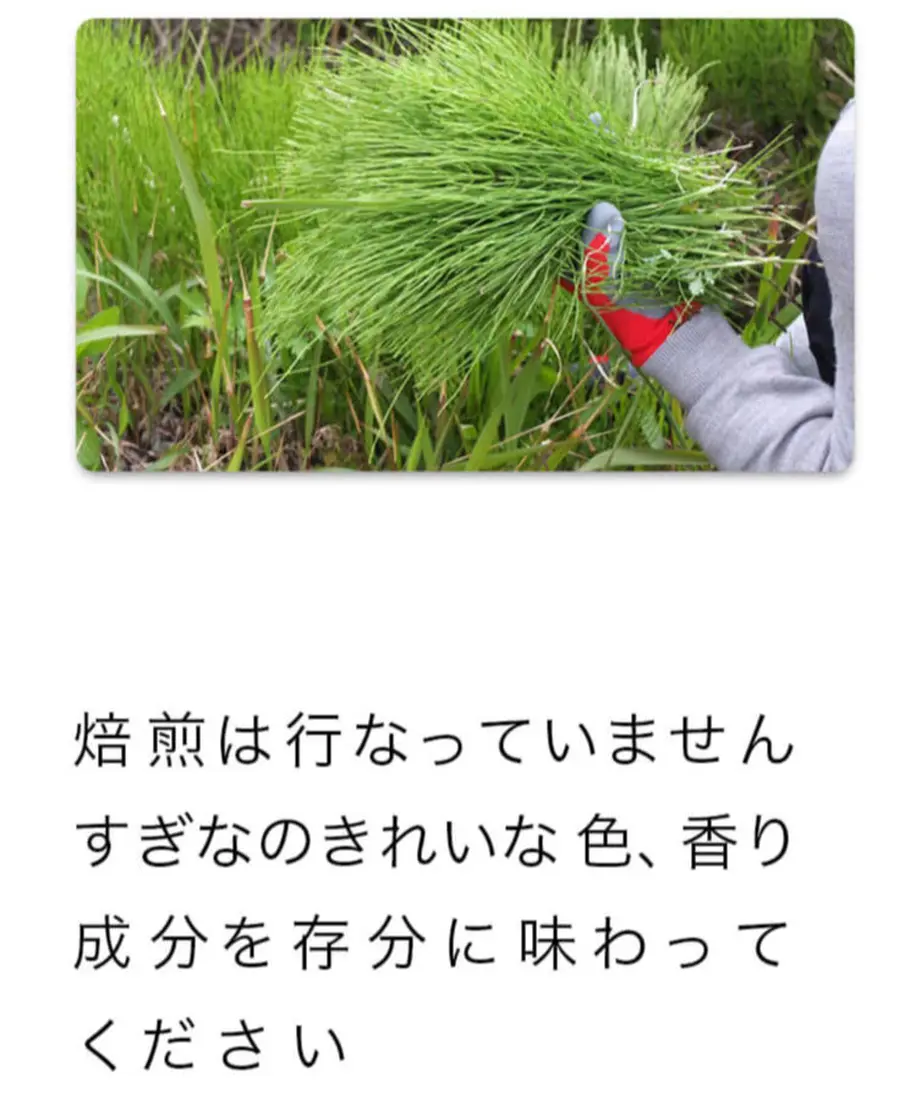 5ff66d0ada019c212ee428d6
