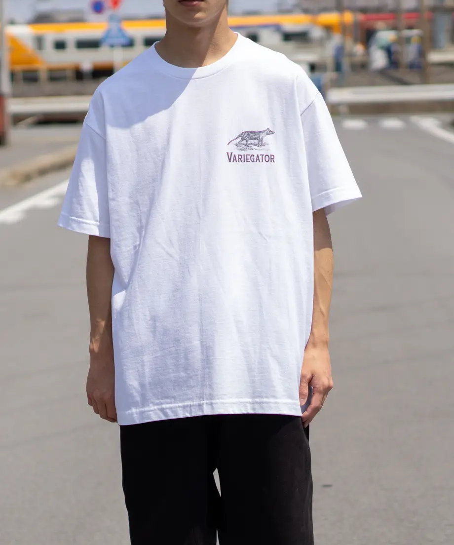 615eb3e72305575c11719d02