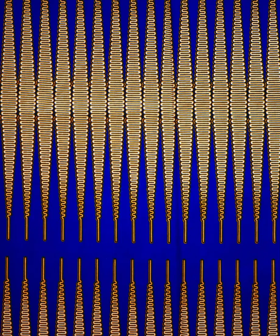 60c08da202a58923e7646b2e