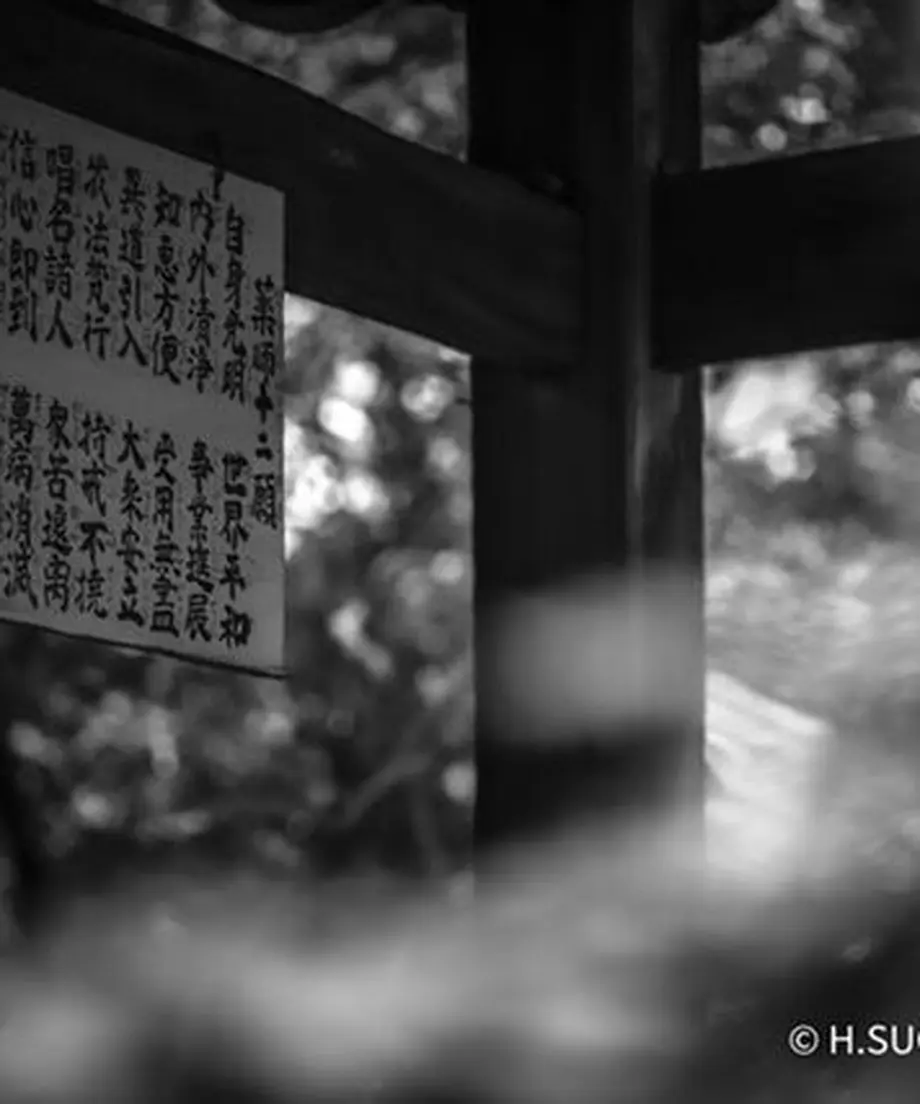 5f5731a98b9c624493f16b5e