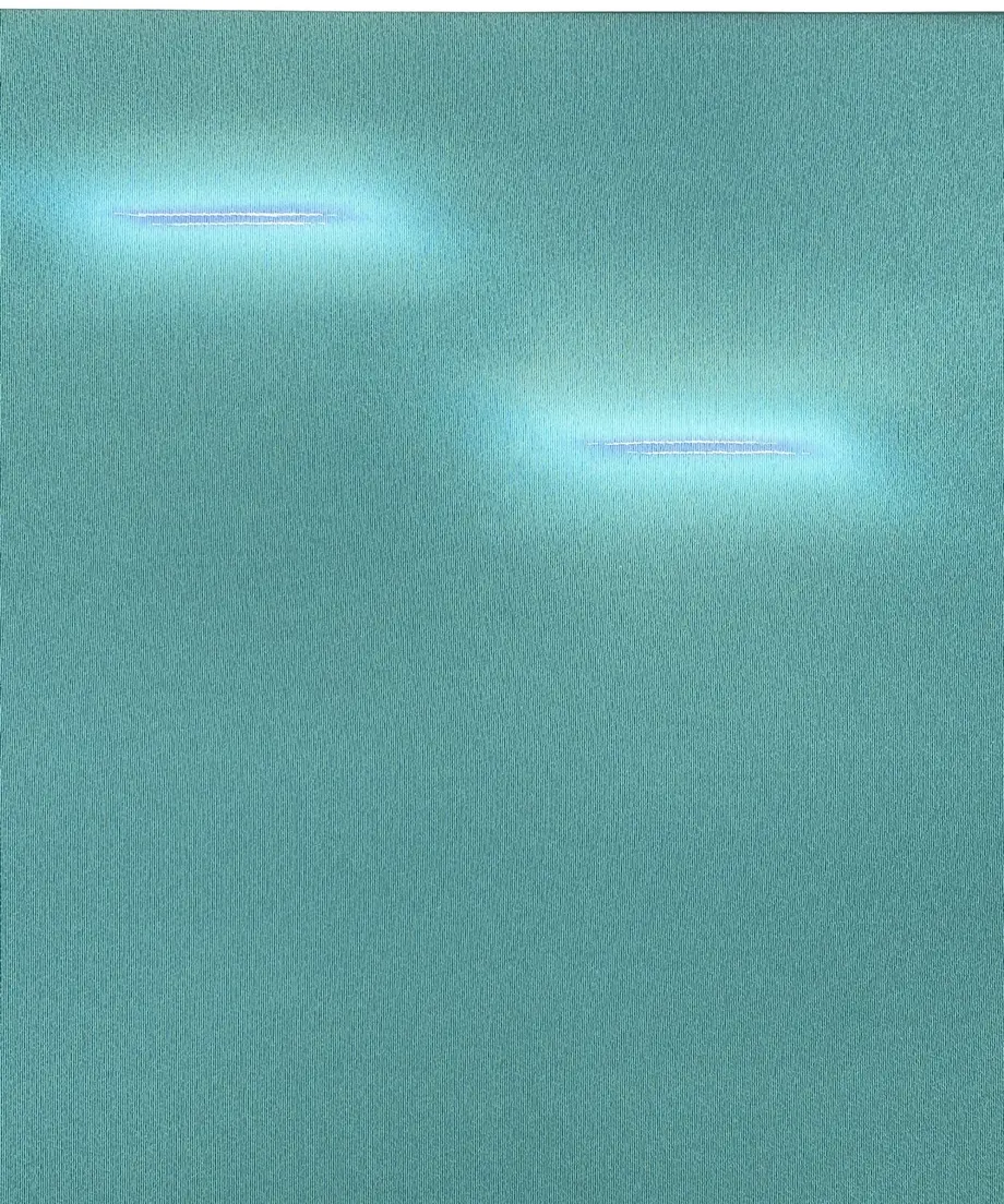 5f65960a07e1635a6911b4d4