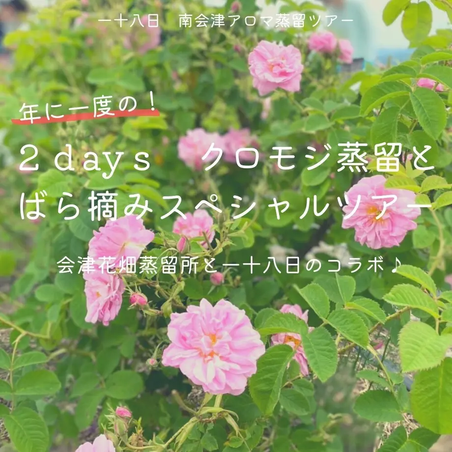6204c48b47a534514a62aec2