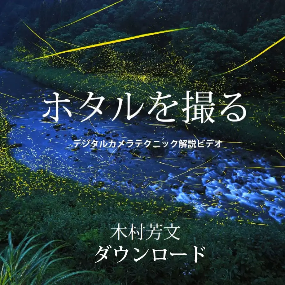 557640703bcba93c370015f8