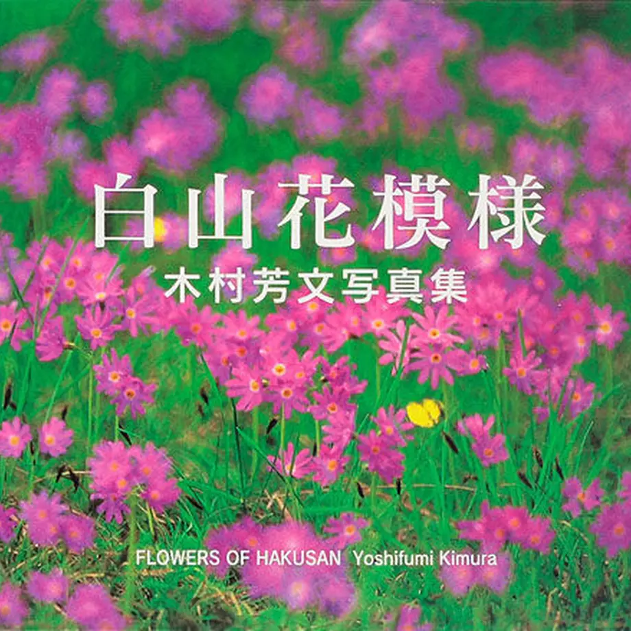 552b12a1391bb3b1e3000d31