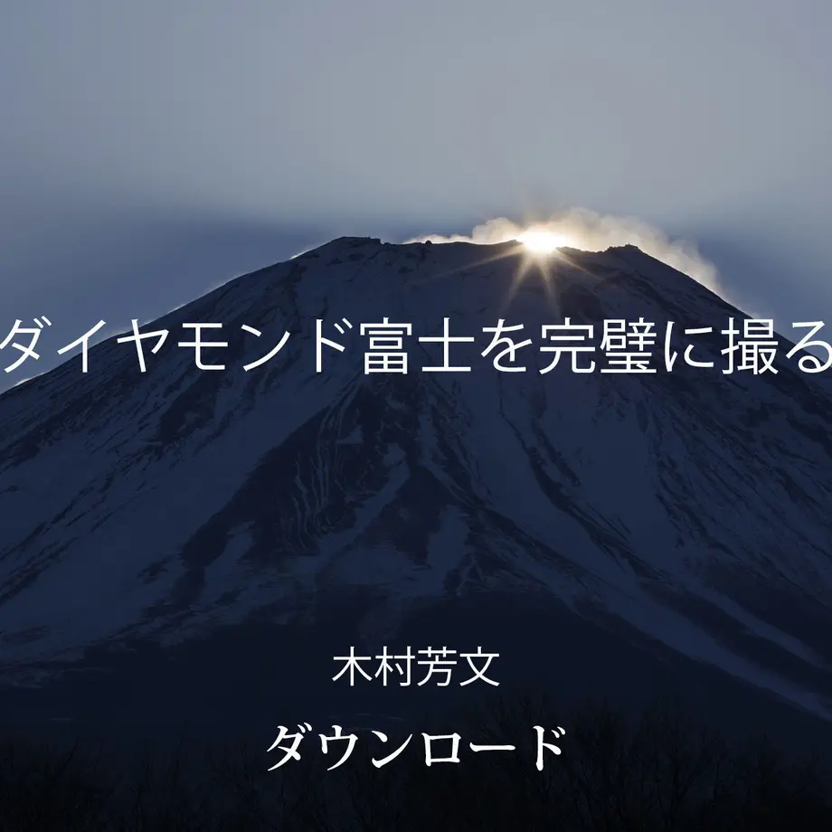 555692ef391bb345ae004cdd