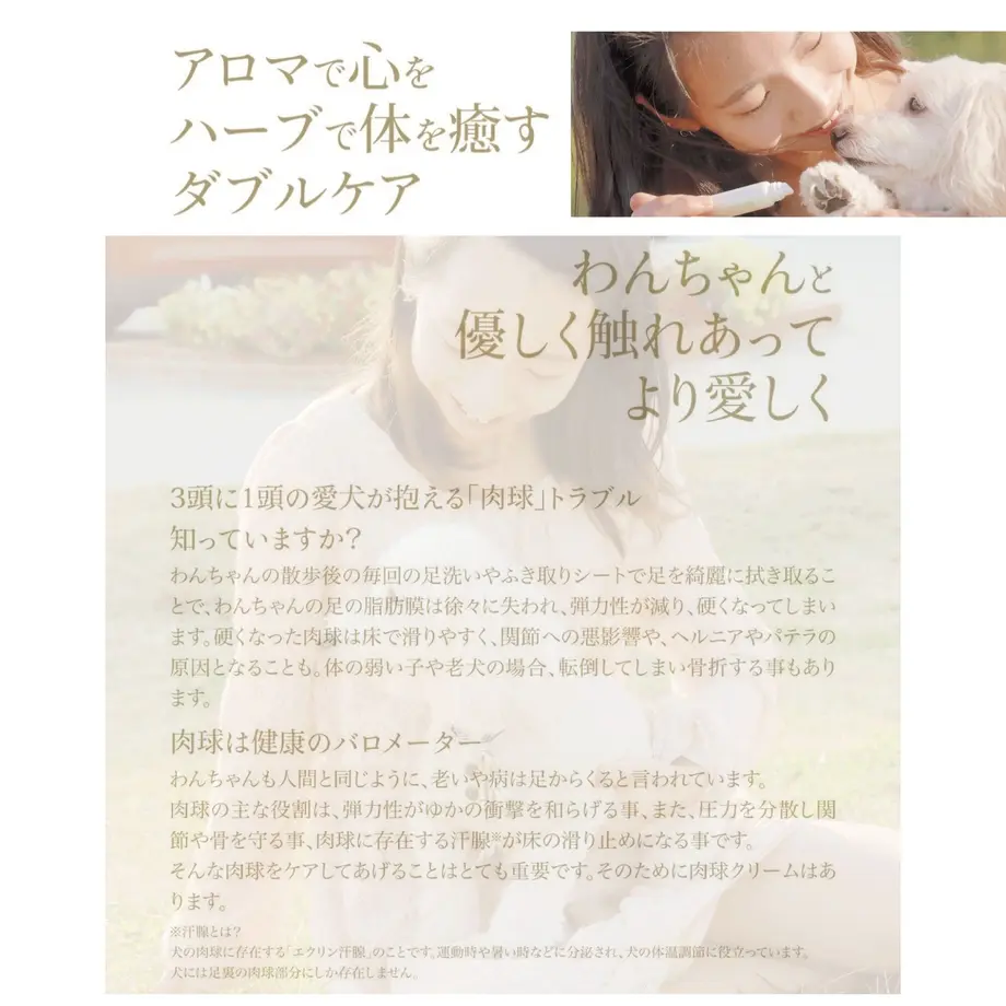 5c88a599164eb14bb7280f21