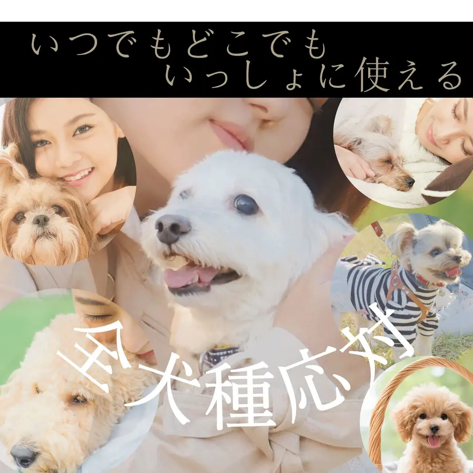 5c8896ad89c42d07709ac1a6