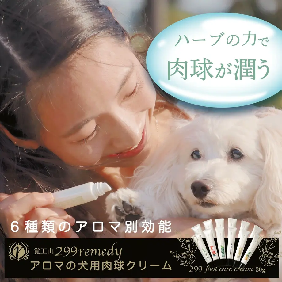5c88a8cbaa5f442dbfb82de6