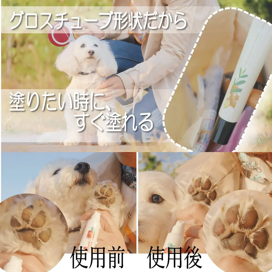 5c8896ad89c42d07709ac1a6
