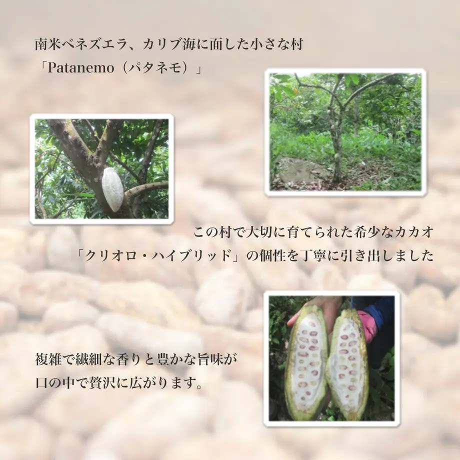 5fe1a48972eb463b8a516594