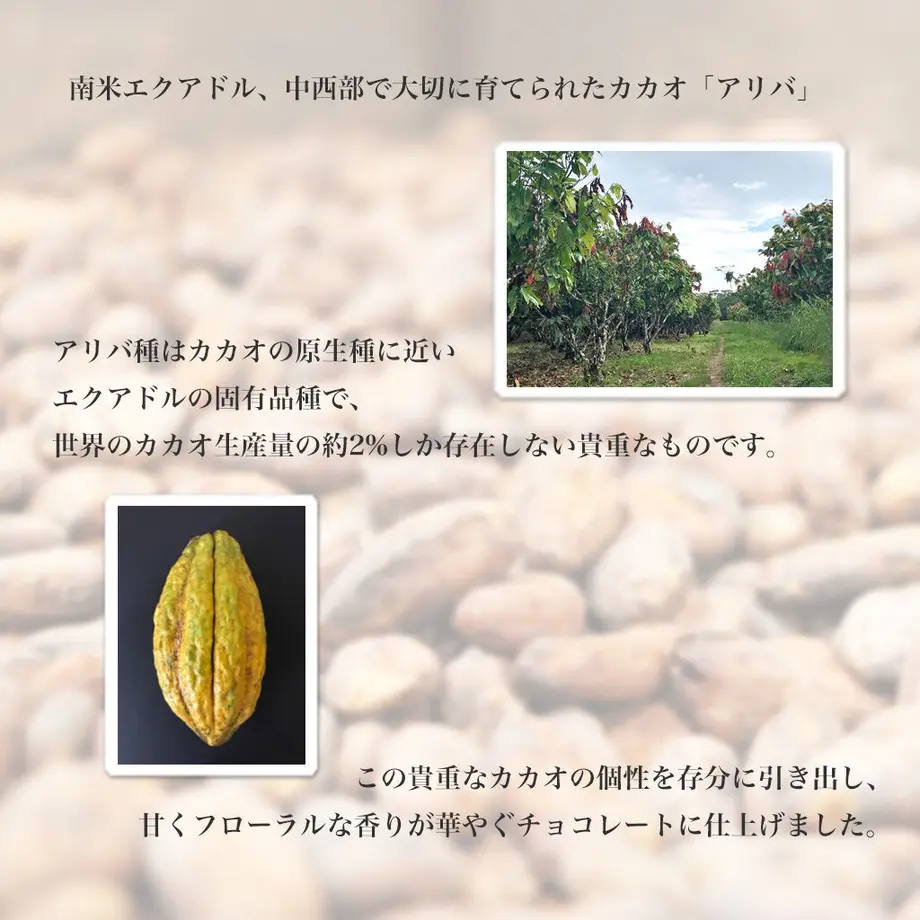616fa99a1bfe19483860c79c