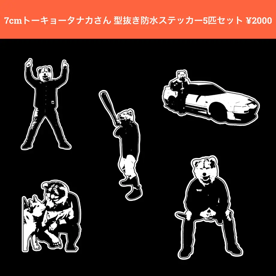 60bb1ba5a8755364a05bdb66