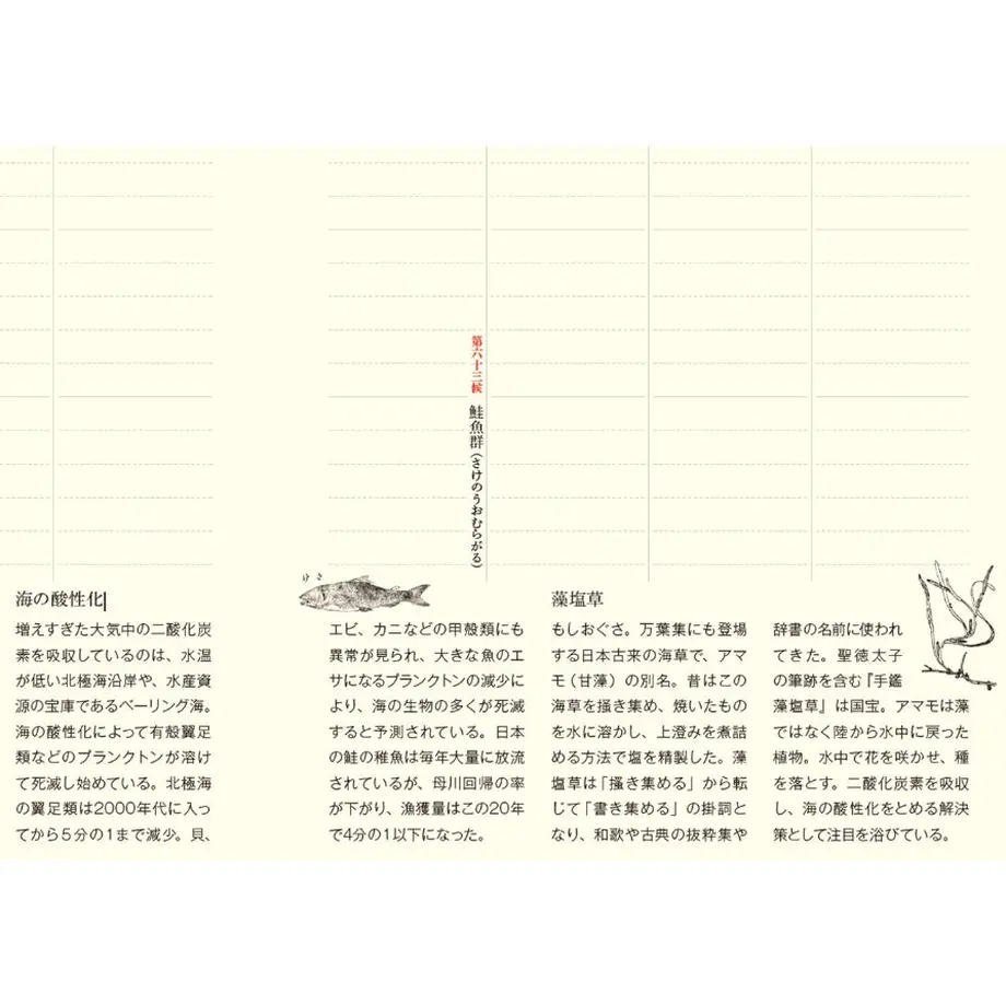635750724b08391ea4e5bb36
